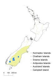 Veronica annulata distribution map based on databased records at AK, CHR & WELT.
 Image: K.Boardman © Landcare Research 2022 CC-BY 4.0